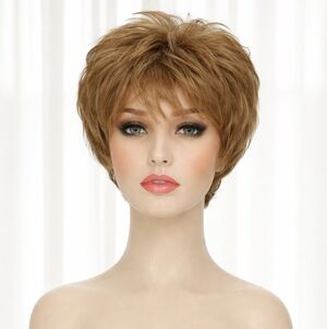 Short Brown Human Hait Women's Wig